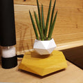 Floating magnetic levitating flower pot in wood grain finish with micro plant suspended 15mm above hexagonal base