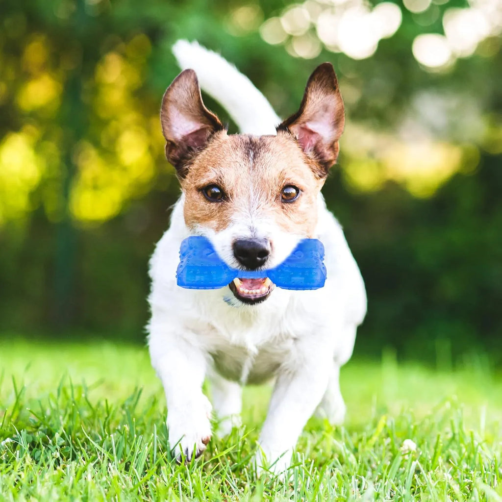 Freezable bone-shaped and circle-shaped dog cooling chew toys with treat pockets.