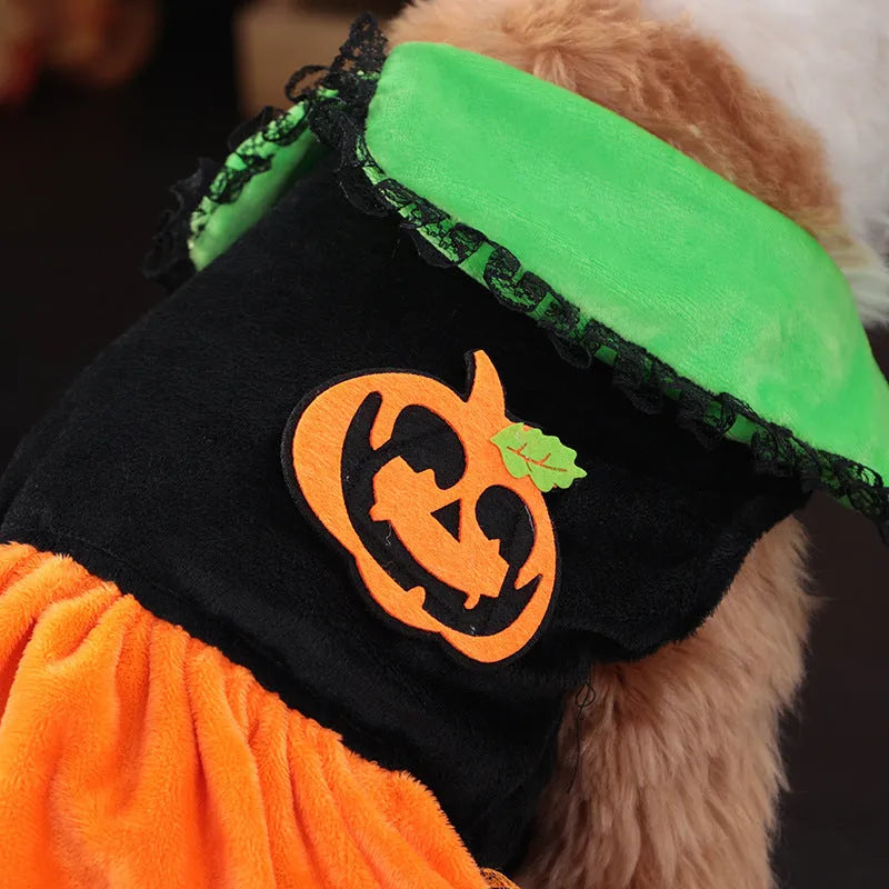 Halloween pumpkin skirt costume on a small dog made from crystal velvet fabric