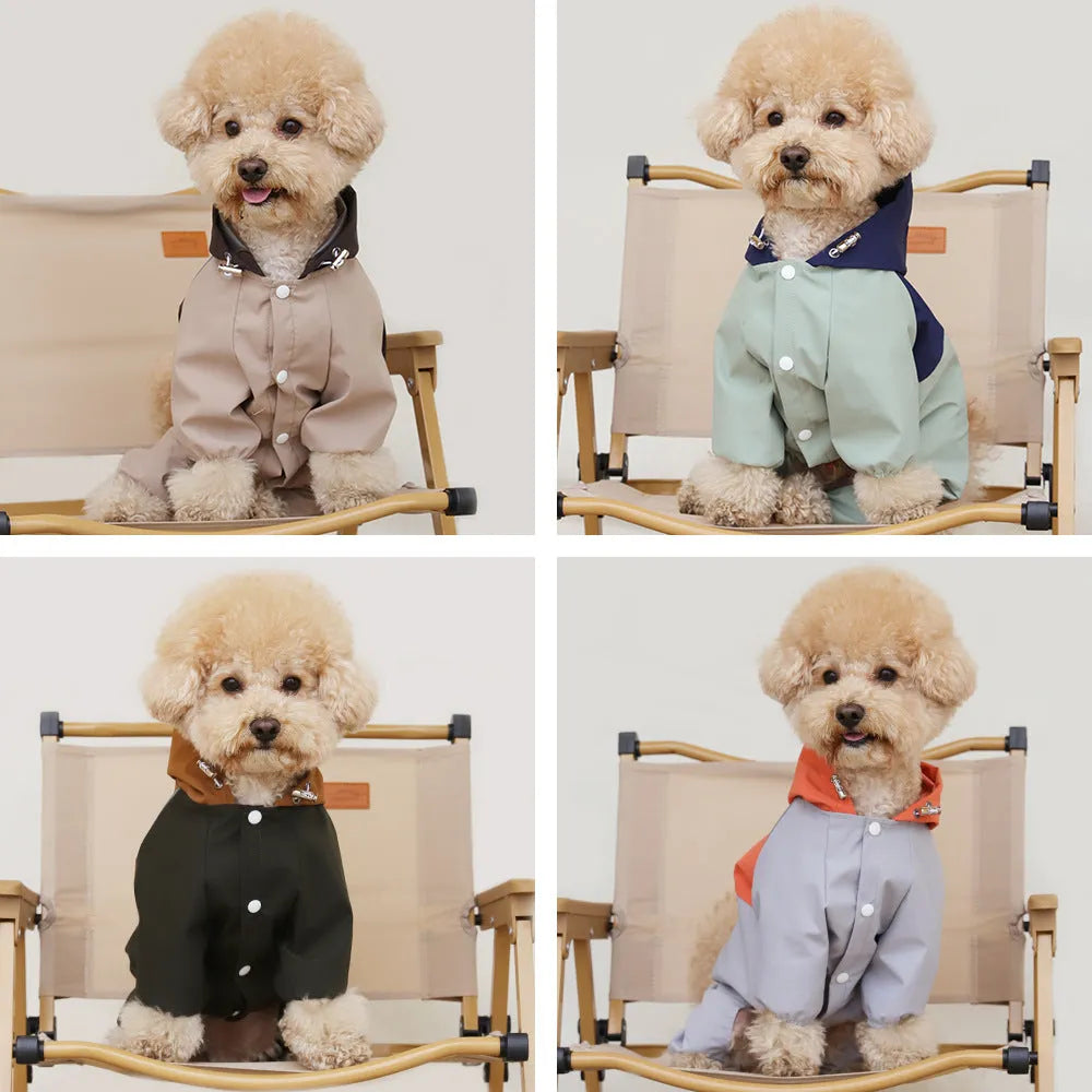 A small dog wearing a khaki coloured British style waterproof polyester shell jacket outdoors.