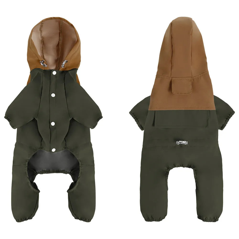 A small dog wearing a khaki coloured British style waterproof polyester shell jacket outdoors.