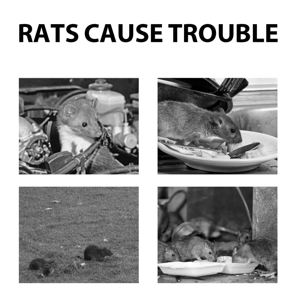 60ml natural rat repellent spray bottle with essential oils for home, outdoor and car rodent protection
