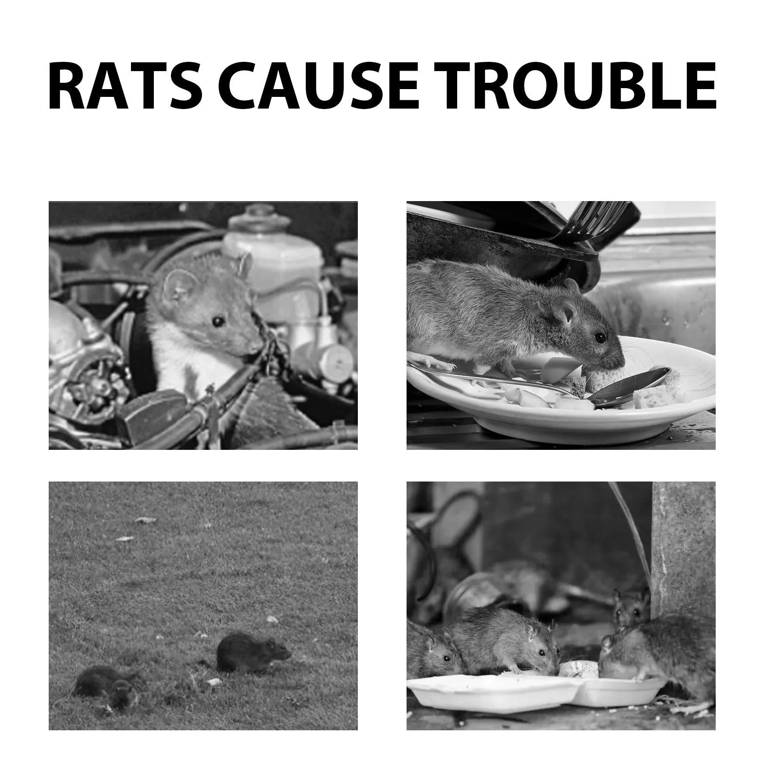 60ml natural rat repellent spray bottle with essential oils for home, outdoor and car rodent protection
