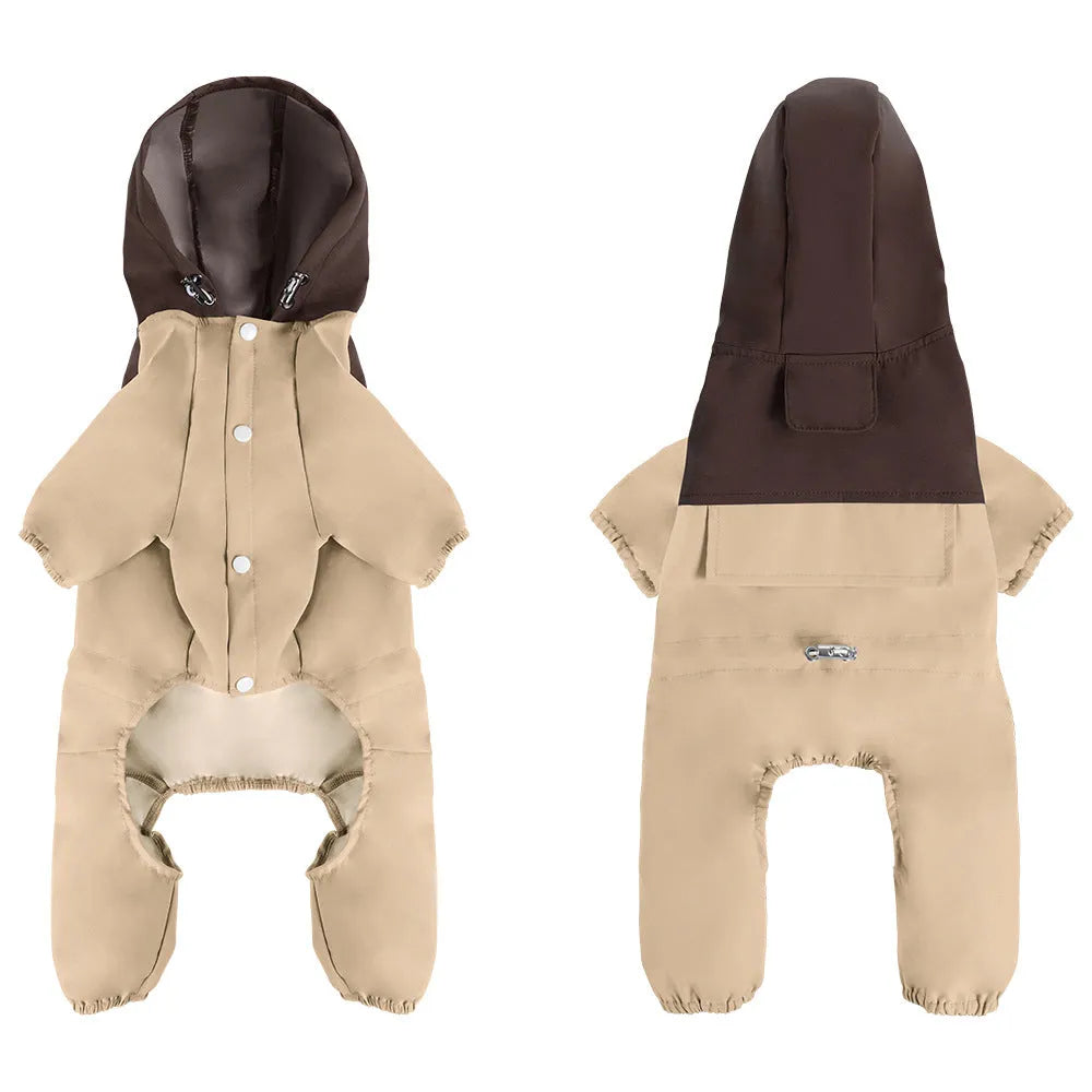 A small dog wearing a khaki coloured British style waterproof polyester shell jacket outdoors.