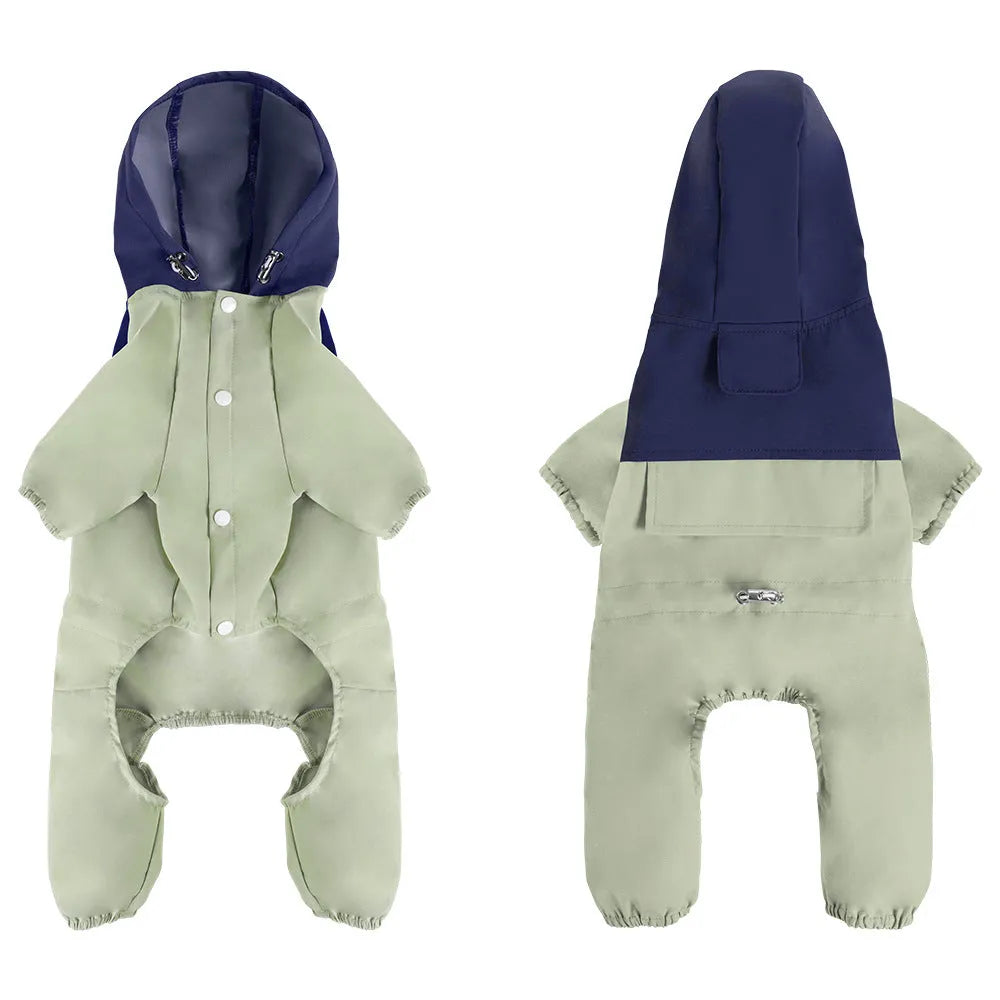 A small dog wearing a khaki coloured British style waterproof polyester shell jacket outdoors.