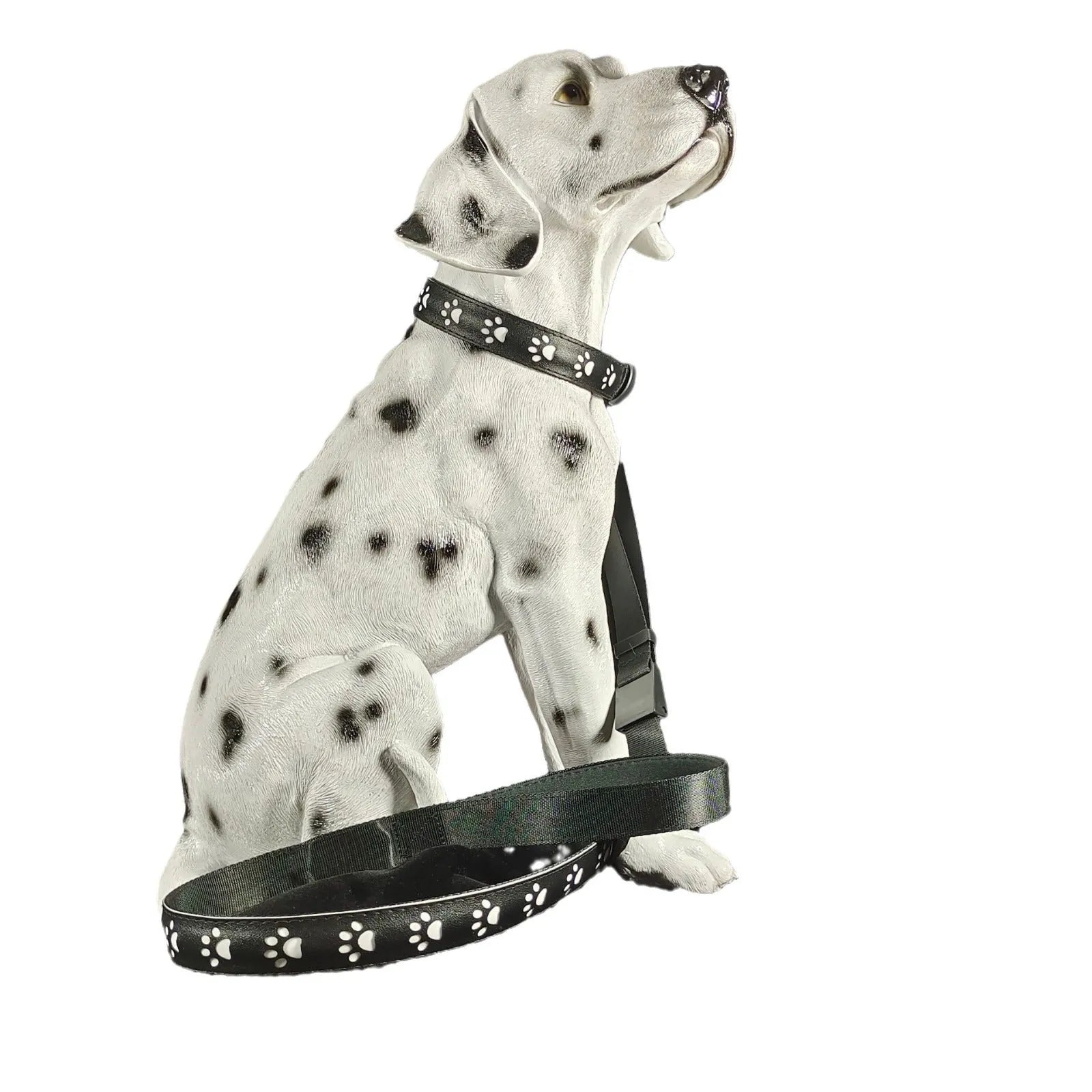 USB-rechargeable LED dog collar with paw print pattern showing seven different coloured lights.
