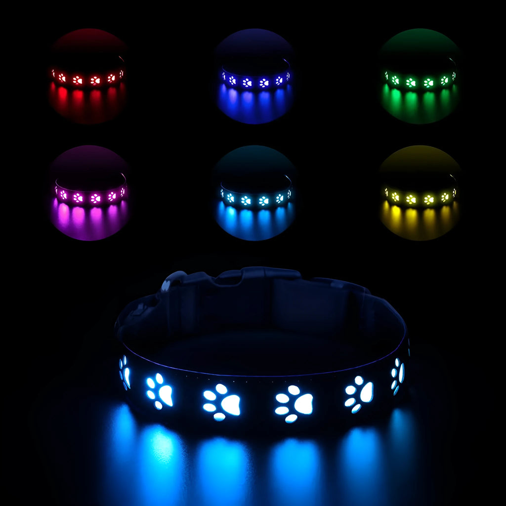 USB-rechargeable LED dog collar with paw print pattern showing seven different coloured lights.