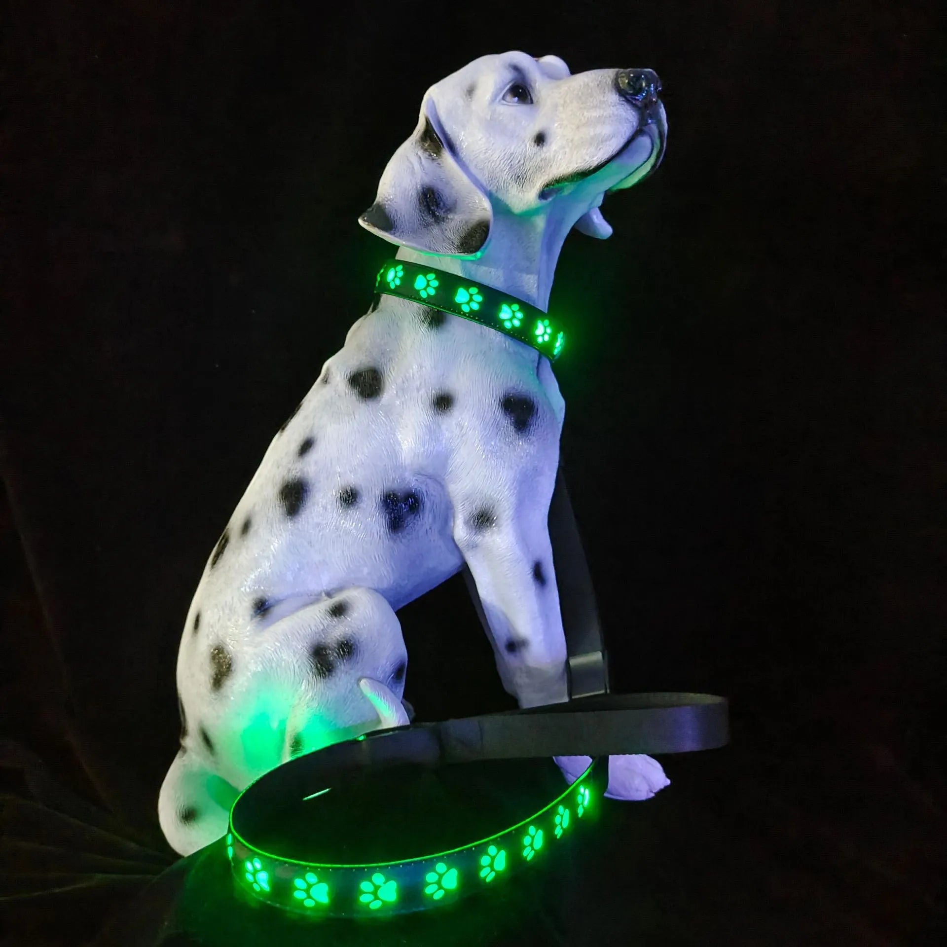 USB-rechargeable LED dog collar with paw print pattern showing seven different coloured lights.