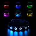 USB-rechargeable LED dog collar with paw print pattern showing seven different coloured lights.