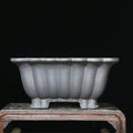 Purple sand ceramic square bonsai pot with 37x15cm inner dimensions on desktop