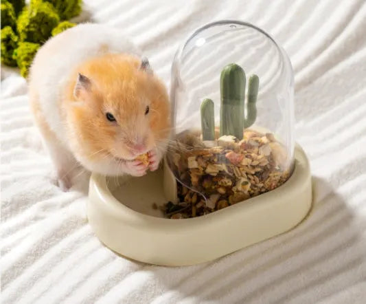 Home Hamster Creative Cactus Automatic Feeder 190ml in Vanilla Warm Yellow