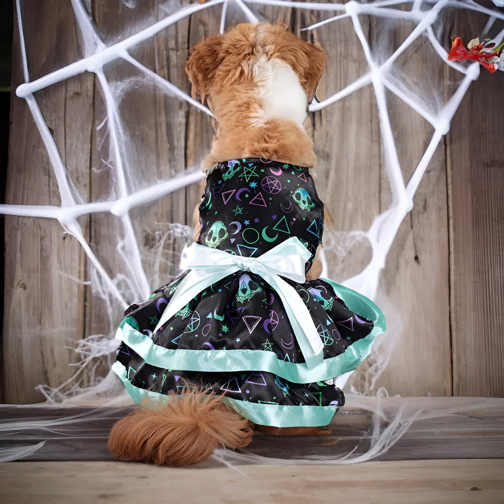 Halloween dog skirt with colourful pumpkin print and adjustable tie waist