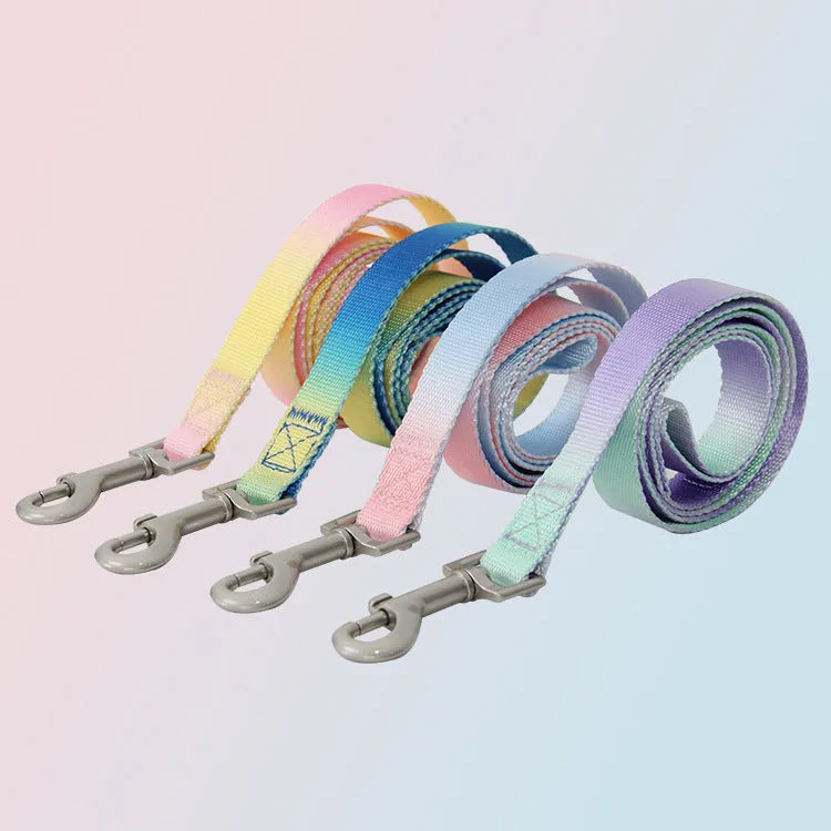 Nylon dog leash set with collar and harness in a pink and blue gradient colour.
