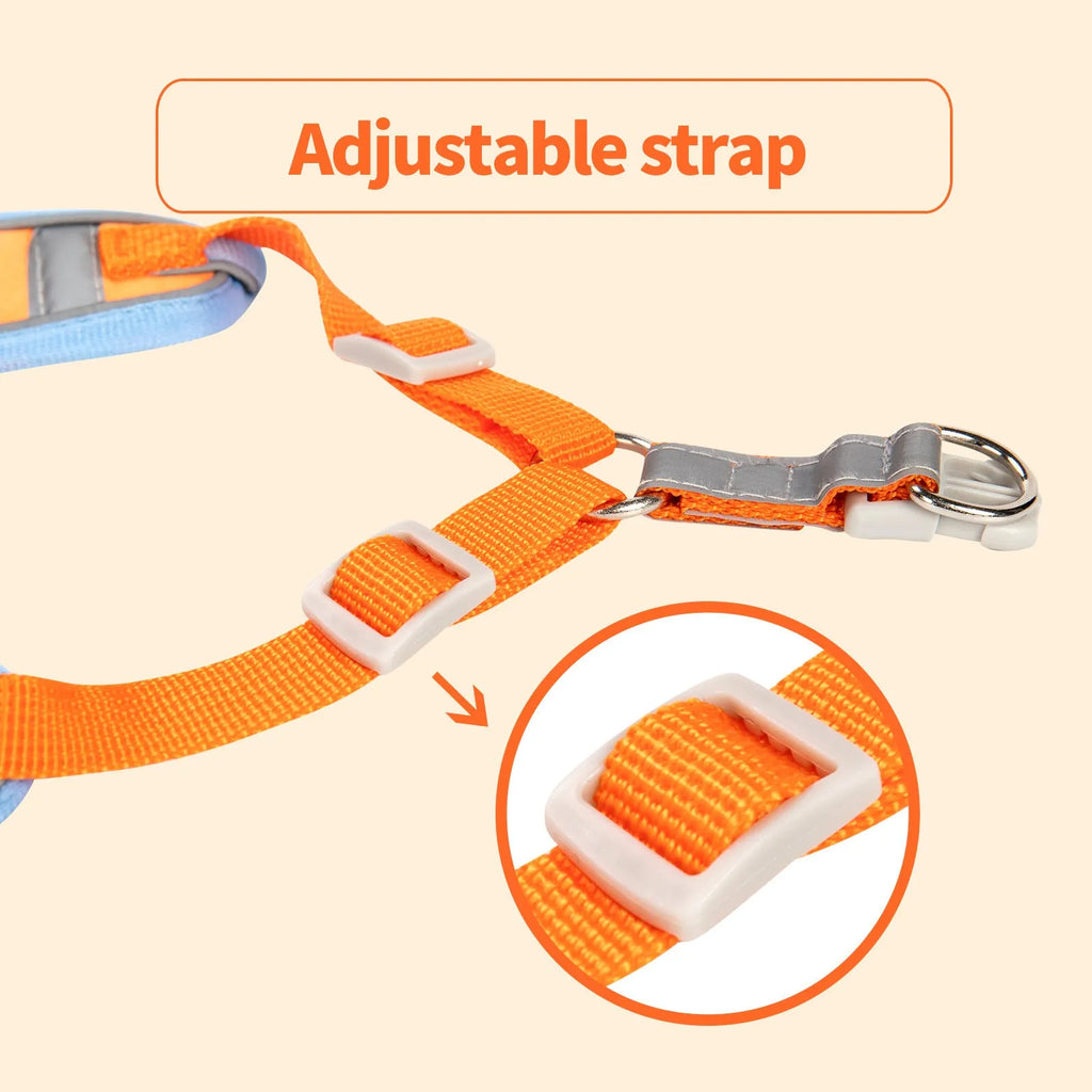 Adjustable dog harness haulage rope package with chest strap in multiple colour options