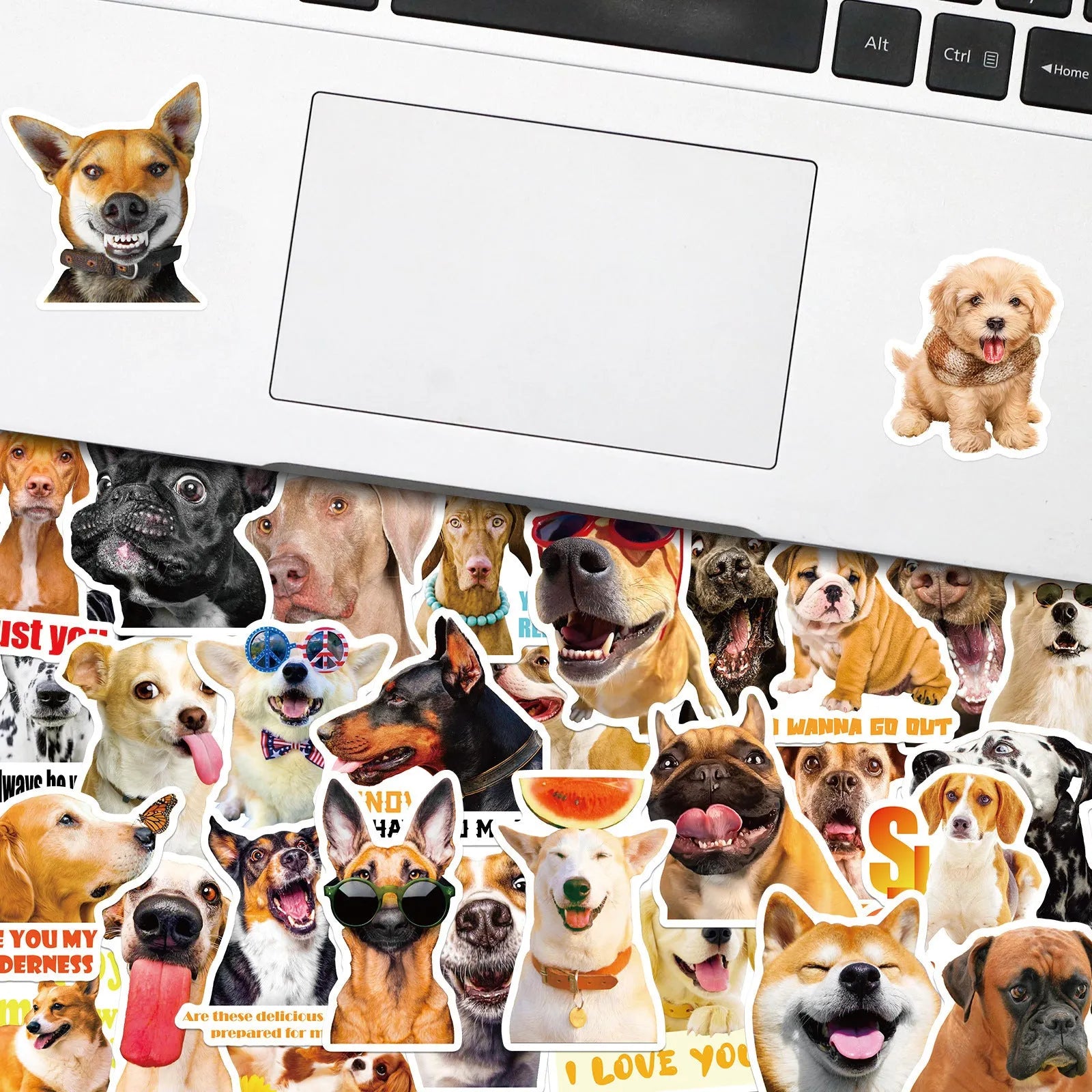Pack of 100 realistic dog facial expression stickers in Nordic design style