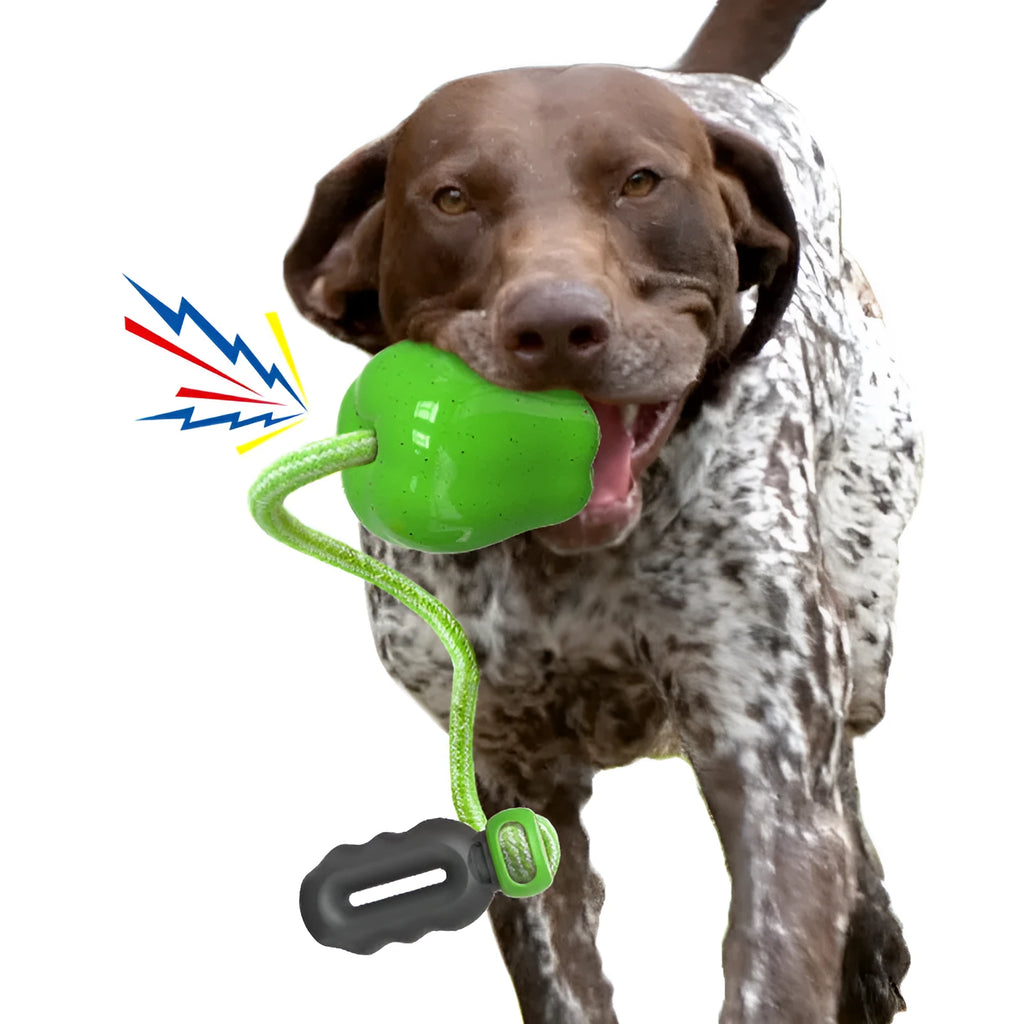 Apple-shaped plastic dog toy for chewing with green and red colour options