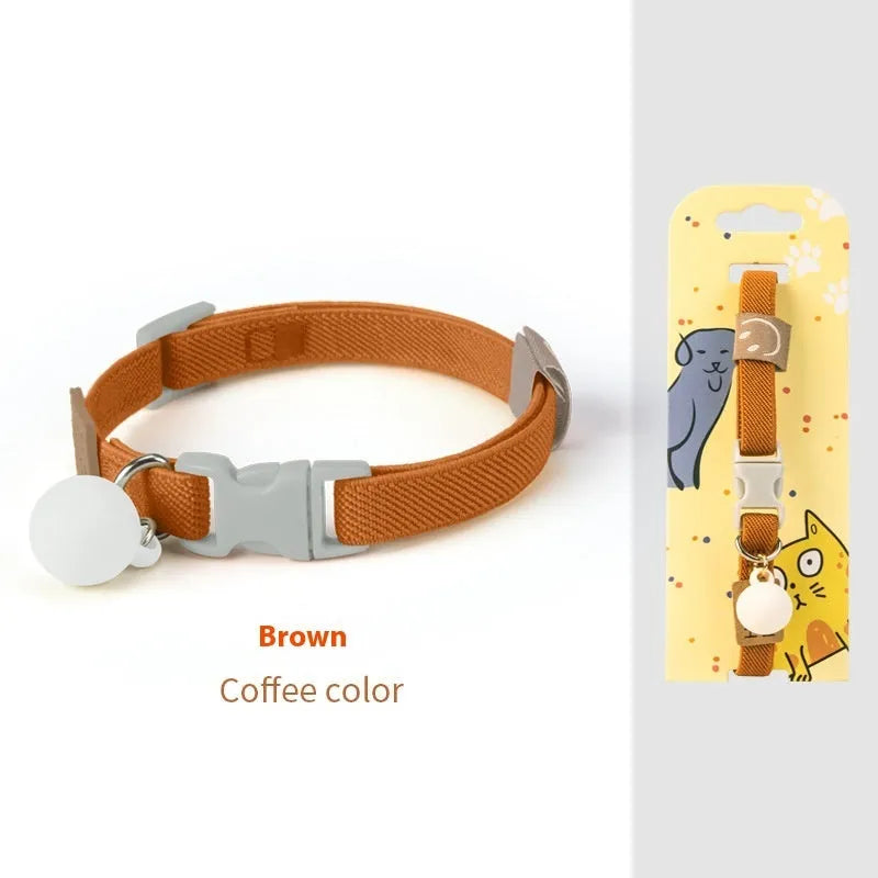 Small dog wearing a stretchy polyester pet collar in a choice of seven colours.