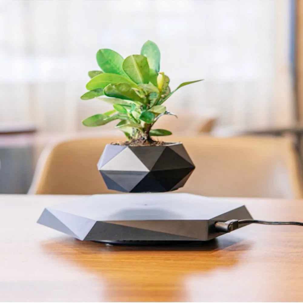 Floating magnetic levitating flower pot in wood grain finish with micro plant suspended 15mm above hexagonal base