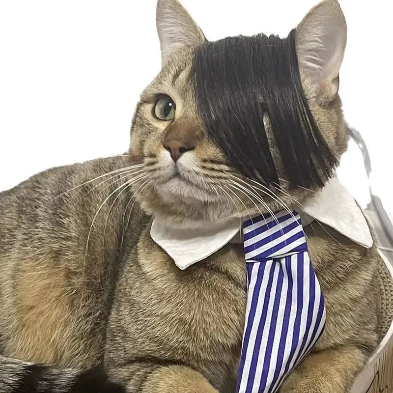 Black polyester fox-style braid wig for cats on a mannequin head.