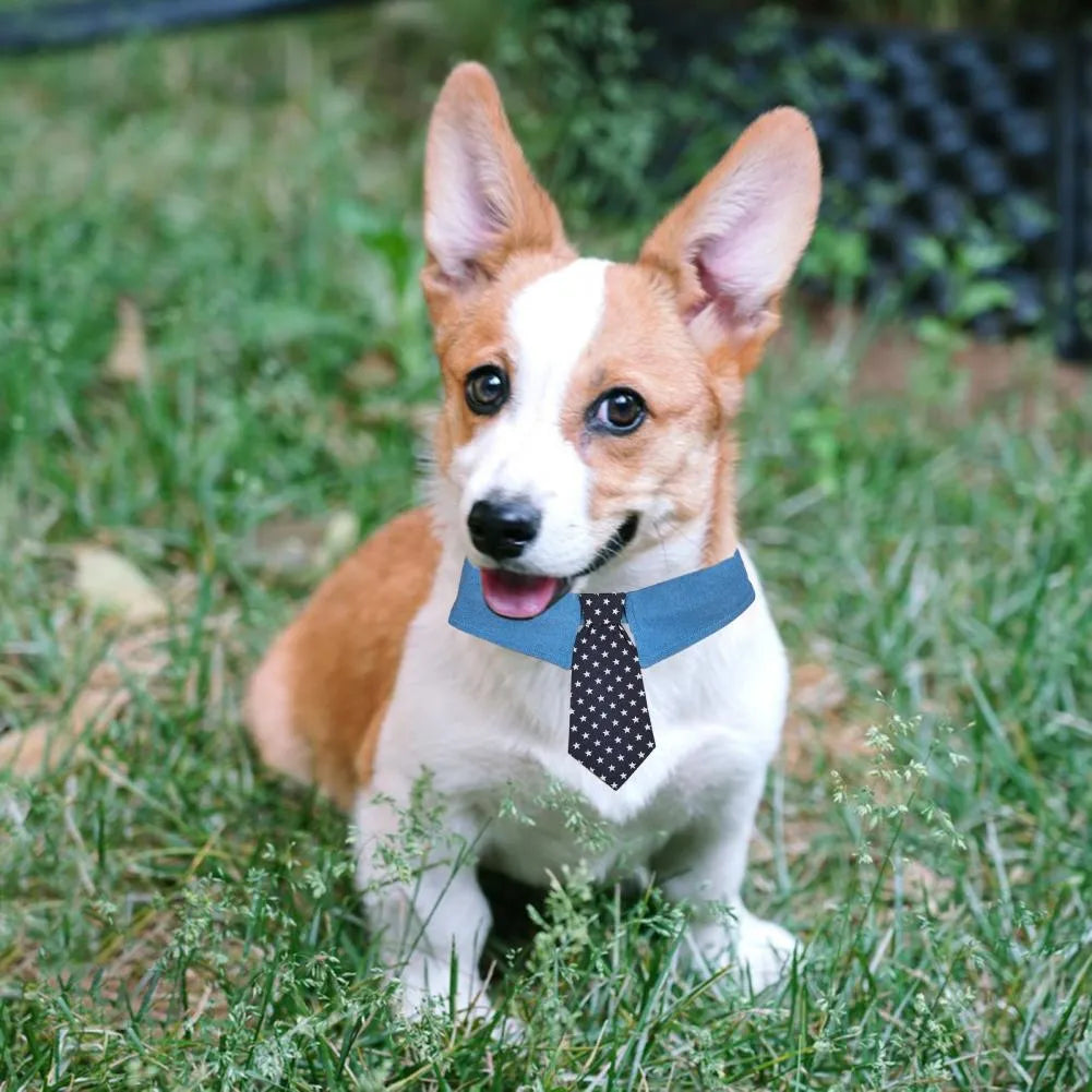 Blue denim dog collar with a star-patterned black bow tie, shown on a mannequin.