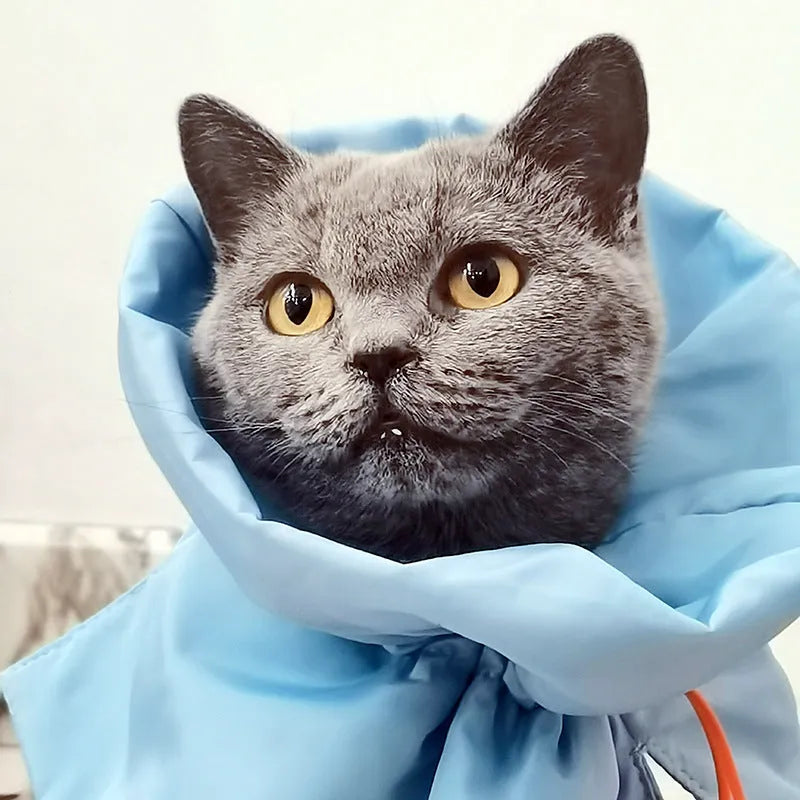 Soft blue adjustable cat recovery collar with elastic buckle on a flat surface