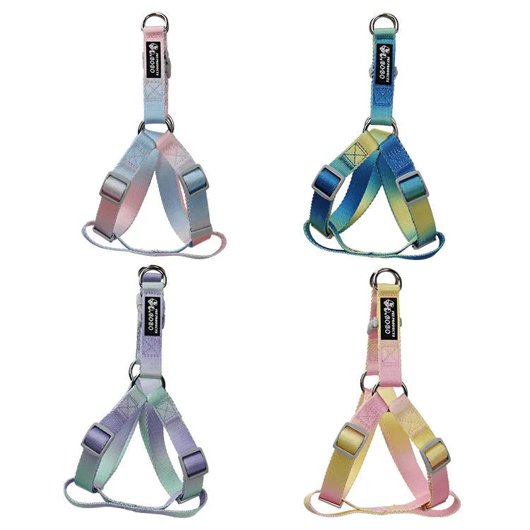 Nylon dog leash set with collar and harness in a pink and blue gradient colour.