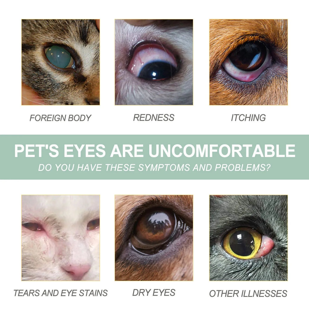 Dogs And Cats Eye Care Eye Drops 100ml bottle with dropper tip for pet eye cleansing