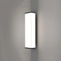 Outdoor wall light with stainless steel and PC construction measuring 60cm high with 125mm wall projection