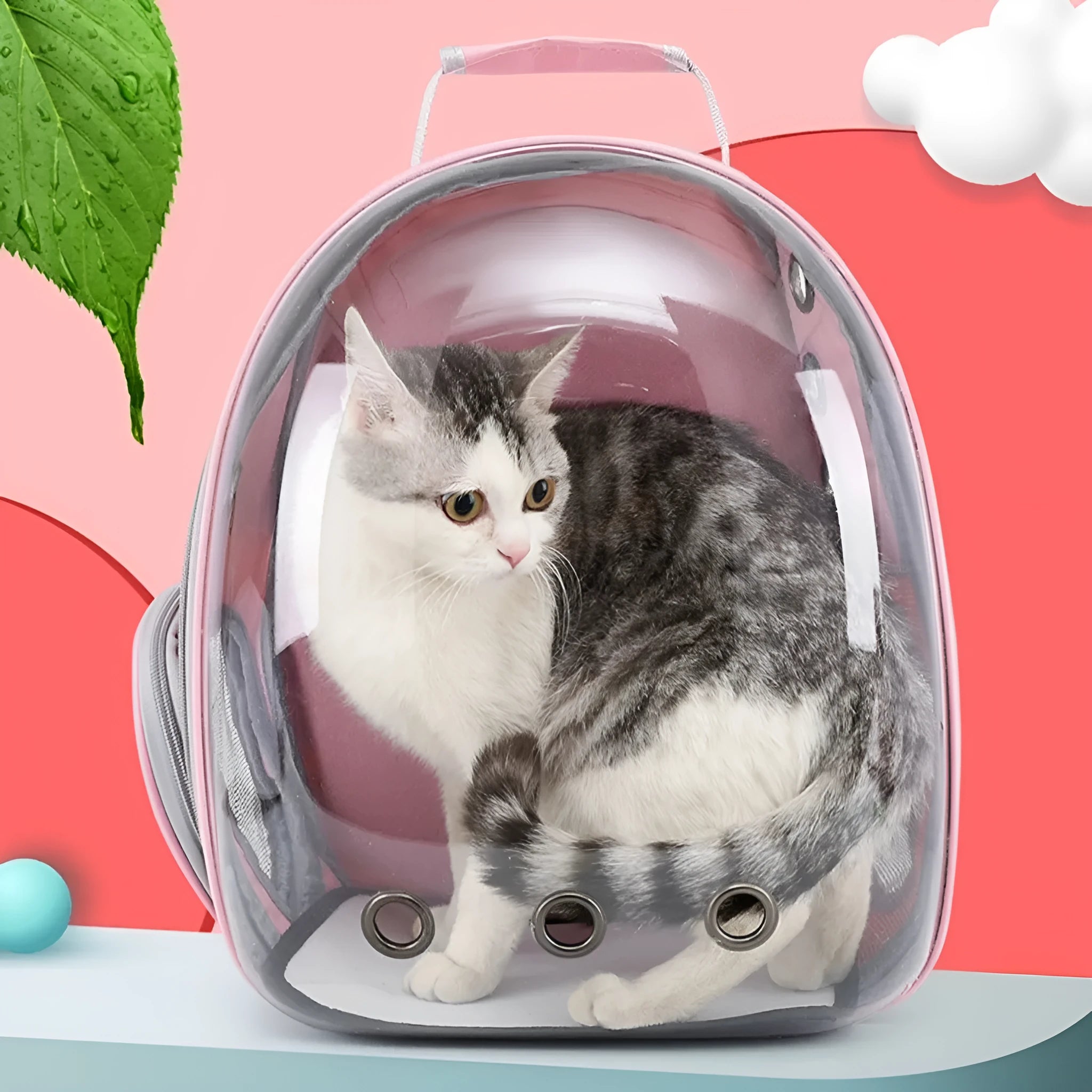 Polycarbonate pet carrier bag with side opening panel in medium capacity for cat transportation