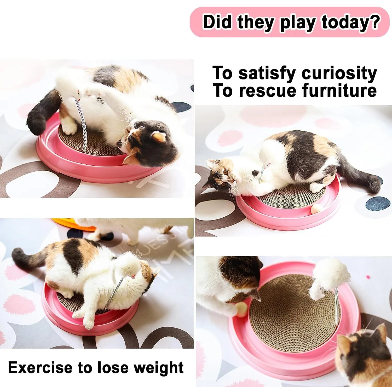 Blue interactive cat scratcher with ball track and replaceable scratching pad on 40cm diameter base