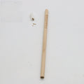 HB seed pencil with degradable plantable capsules in various colours containing flower and vegetable seeds