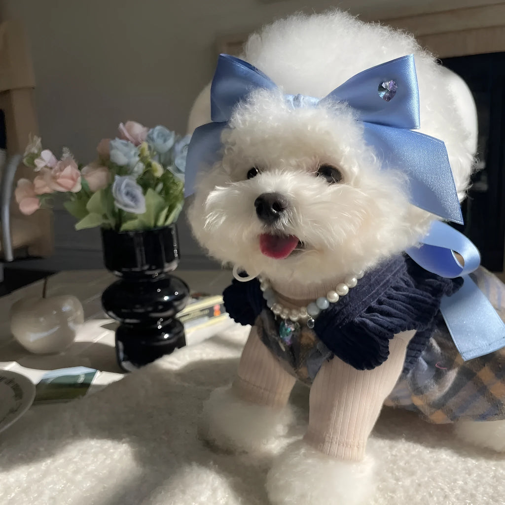 Princess style dog hair band with bow tension adjustment on small dog