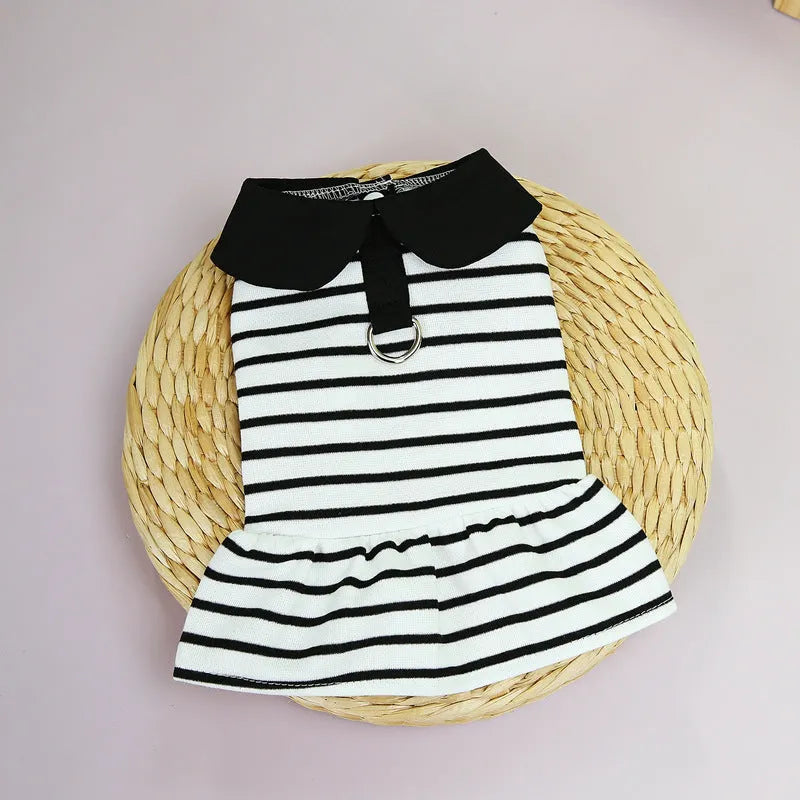 Pet wearing coordinated cotton T-shirt and skirt set with stripe pattern