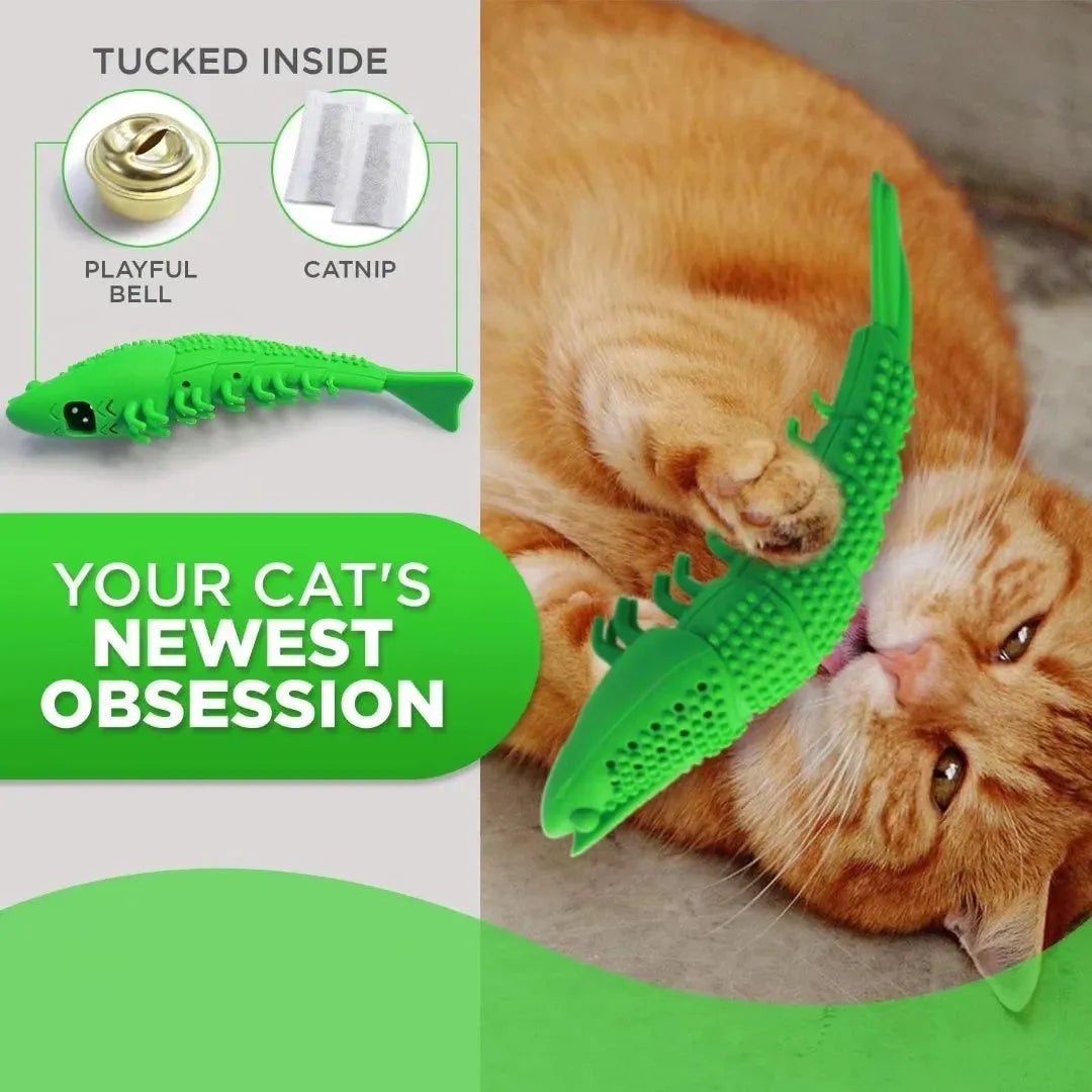 Blue hard rubber catnip toy for dental cleaning and interactive play