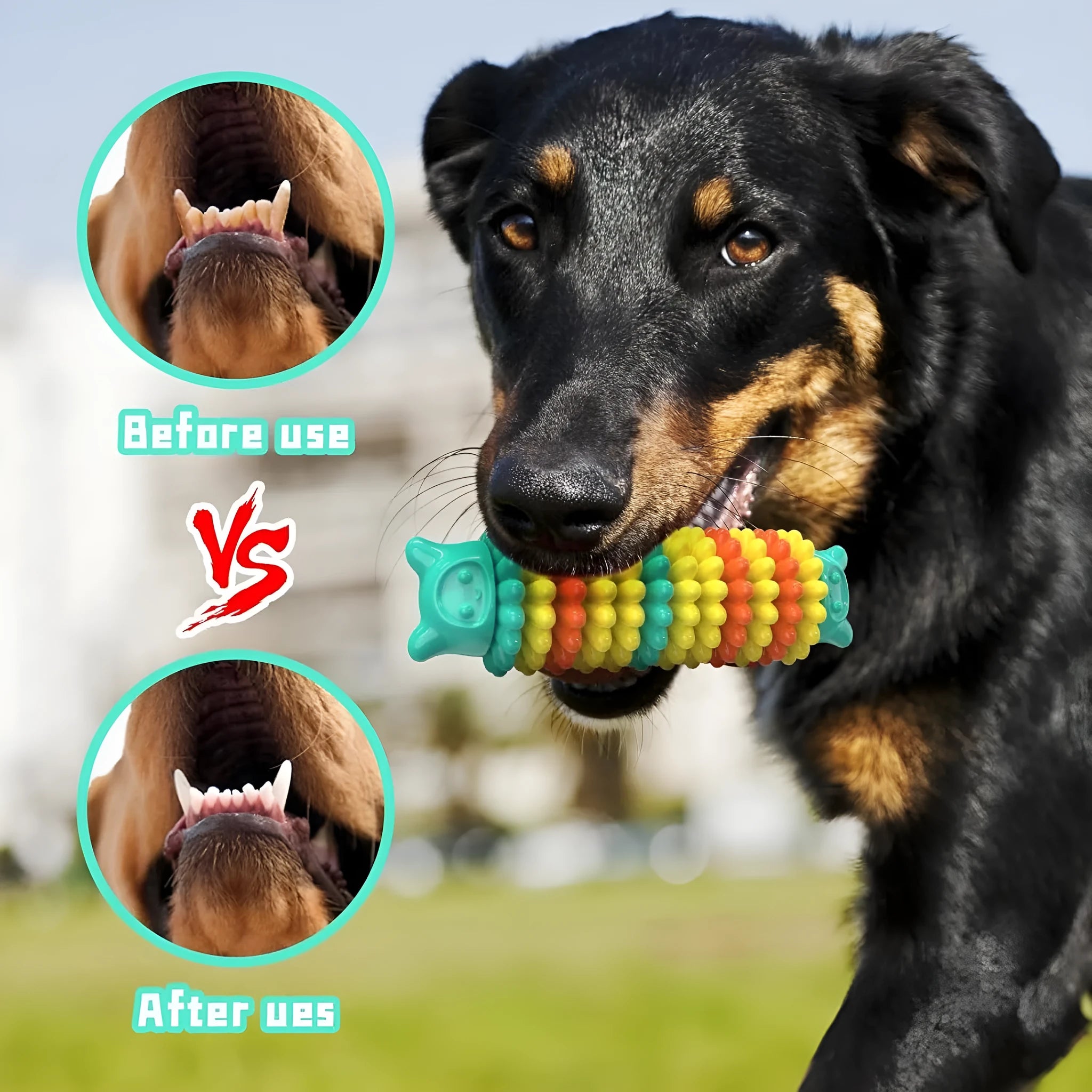 Blue natural rubber caterpillar-shaped chew toy for dogs on a wooden floor.