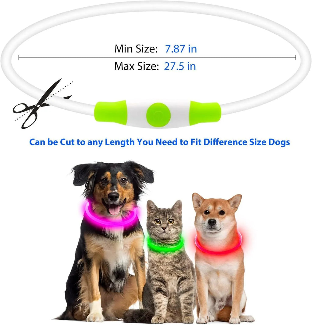 Blue LED dog collar glowing with adjustable TPU band and USB charging port visible