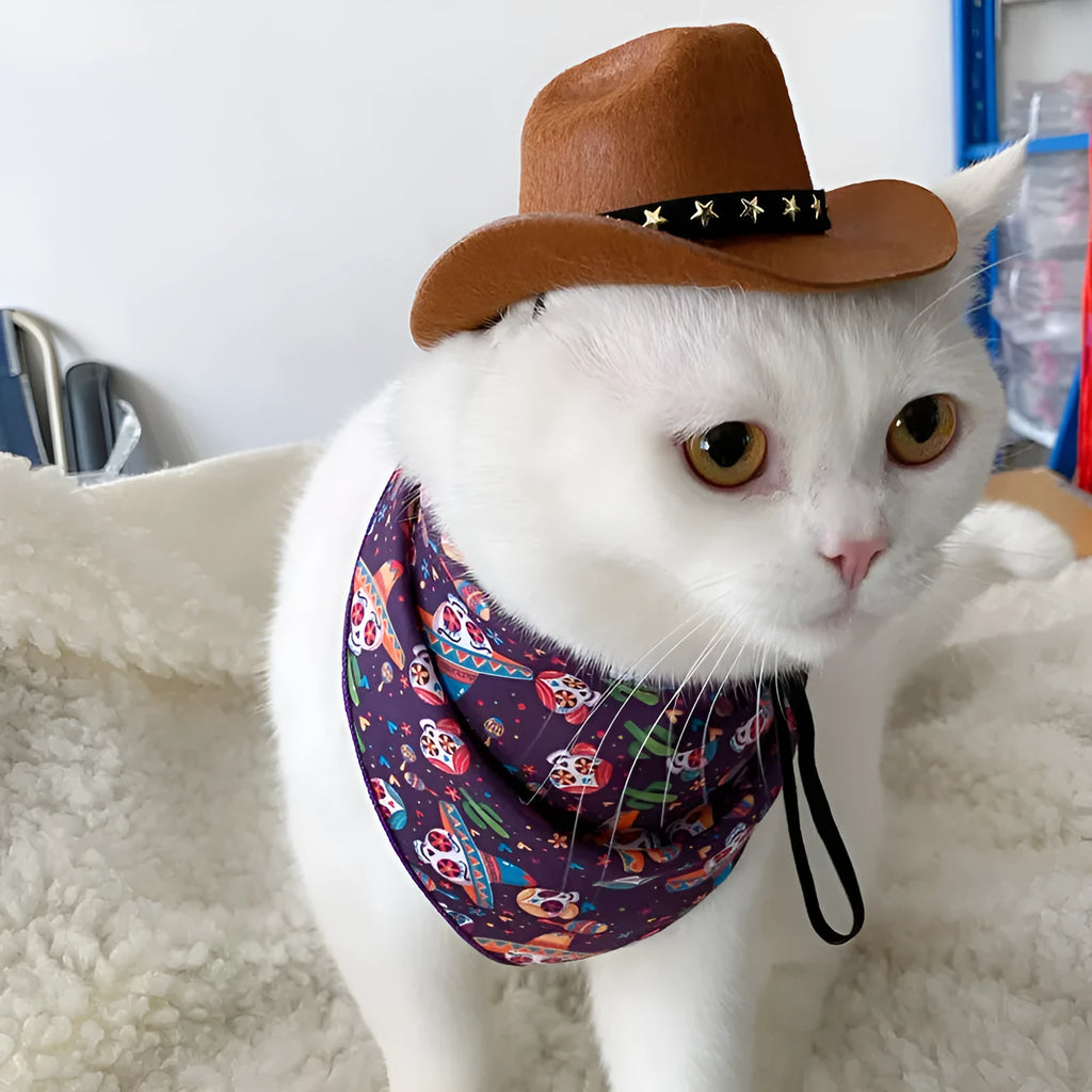 British-style brown cowboy hat for a cat with a black ribbon trim on a white background.