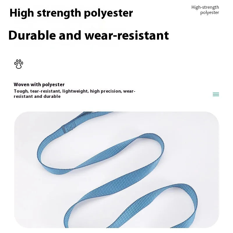 Solid colour polyester dog lead with hand-holding rope design shown in blue colour option