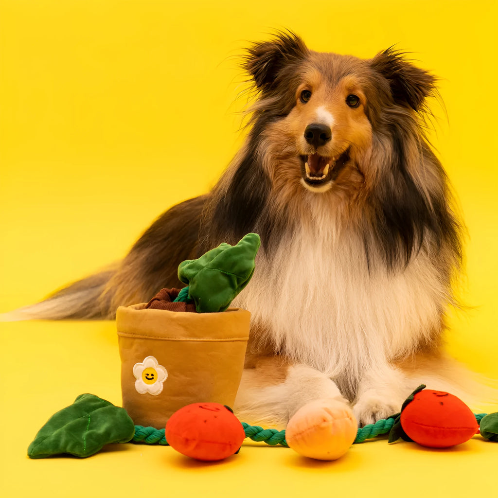 Strawberry potted plant set plush pull toy in photo colour for pet treat hiding