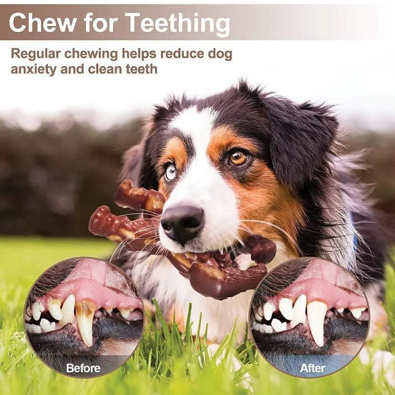 Scarlet nylon dog chew toy with beef flavour measuring 10.7cm by 17.2cm by 5cm