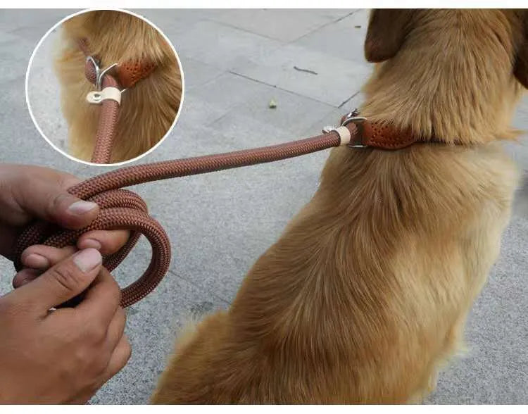 Brown nylon P chain dog leash with hand holding rope section measuring 2.1 metres