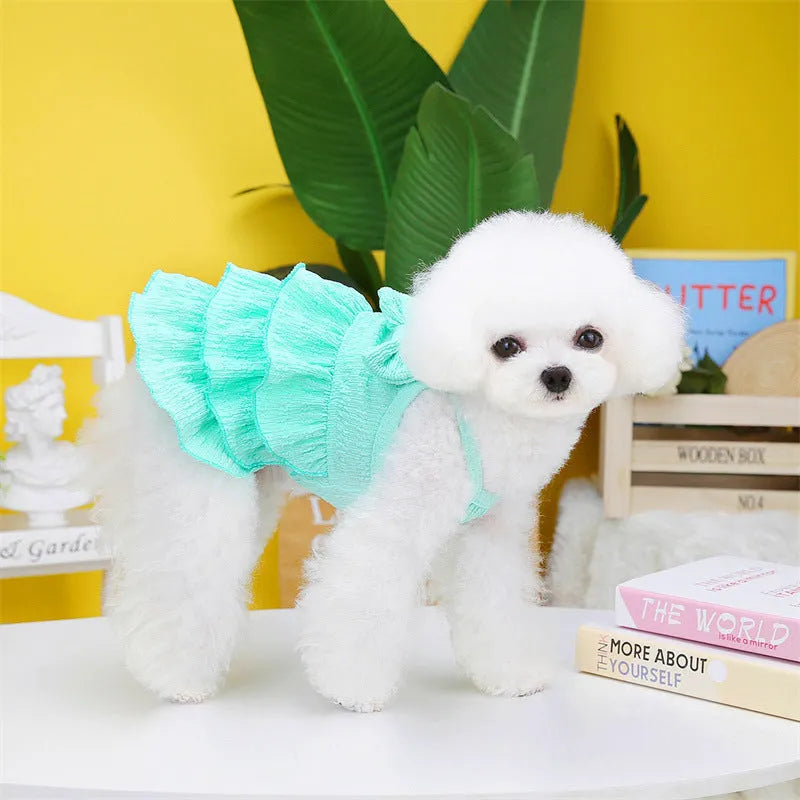 Small dog wearing rose red princess dress with layered skirt candy theme