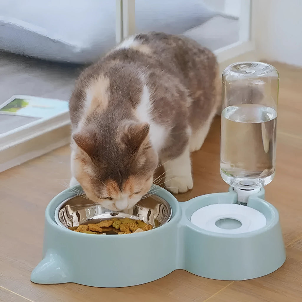 Blue automatic gravity pet food and water feeder bowl with stainless steel interior for cats and dogs