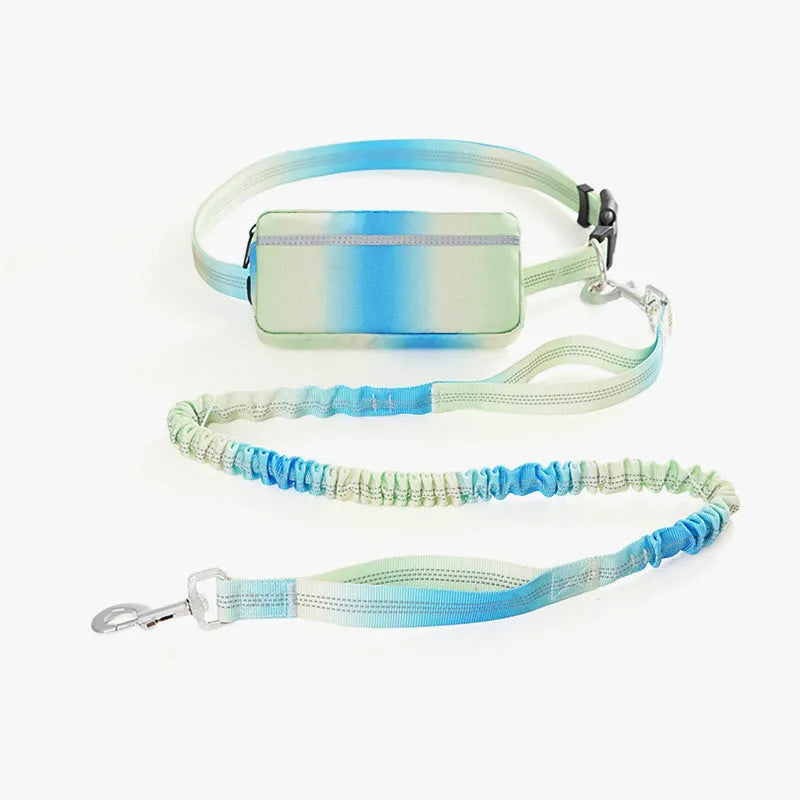 Hands-free adjustable dog leash with reflective traction rope and waist belt in blue