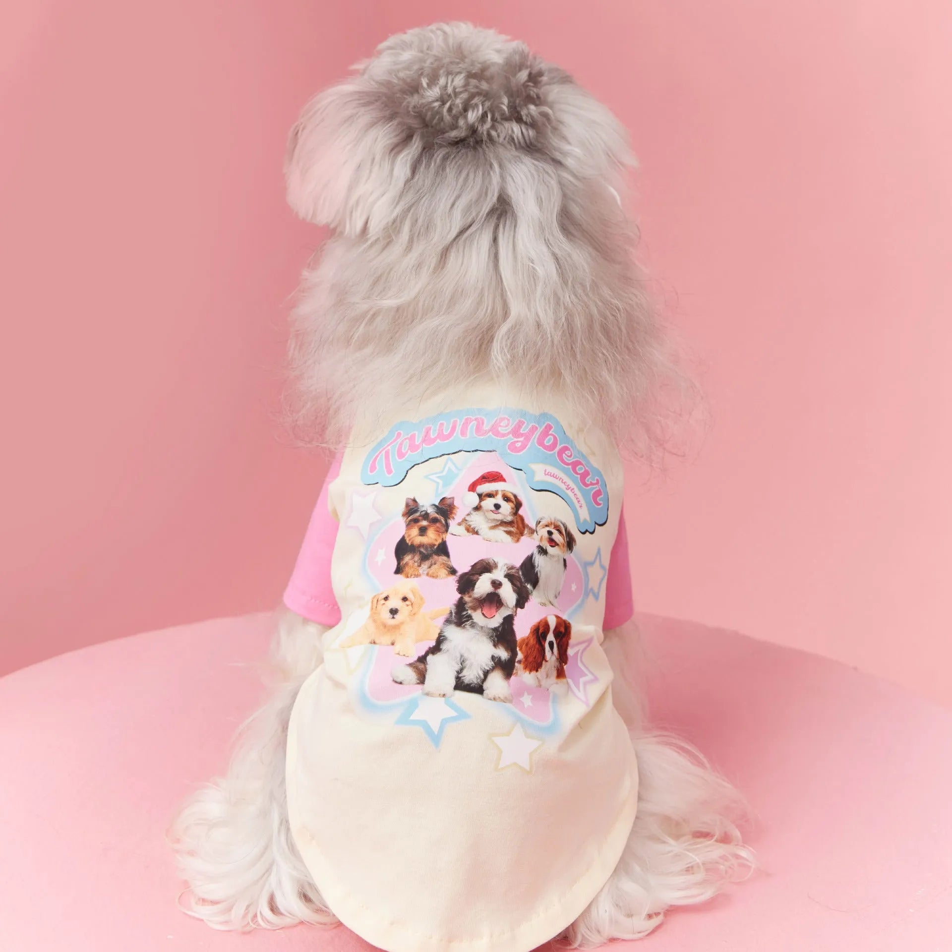 Cotton dog summer clothes with contrast colour detailing in embroidered red colour