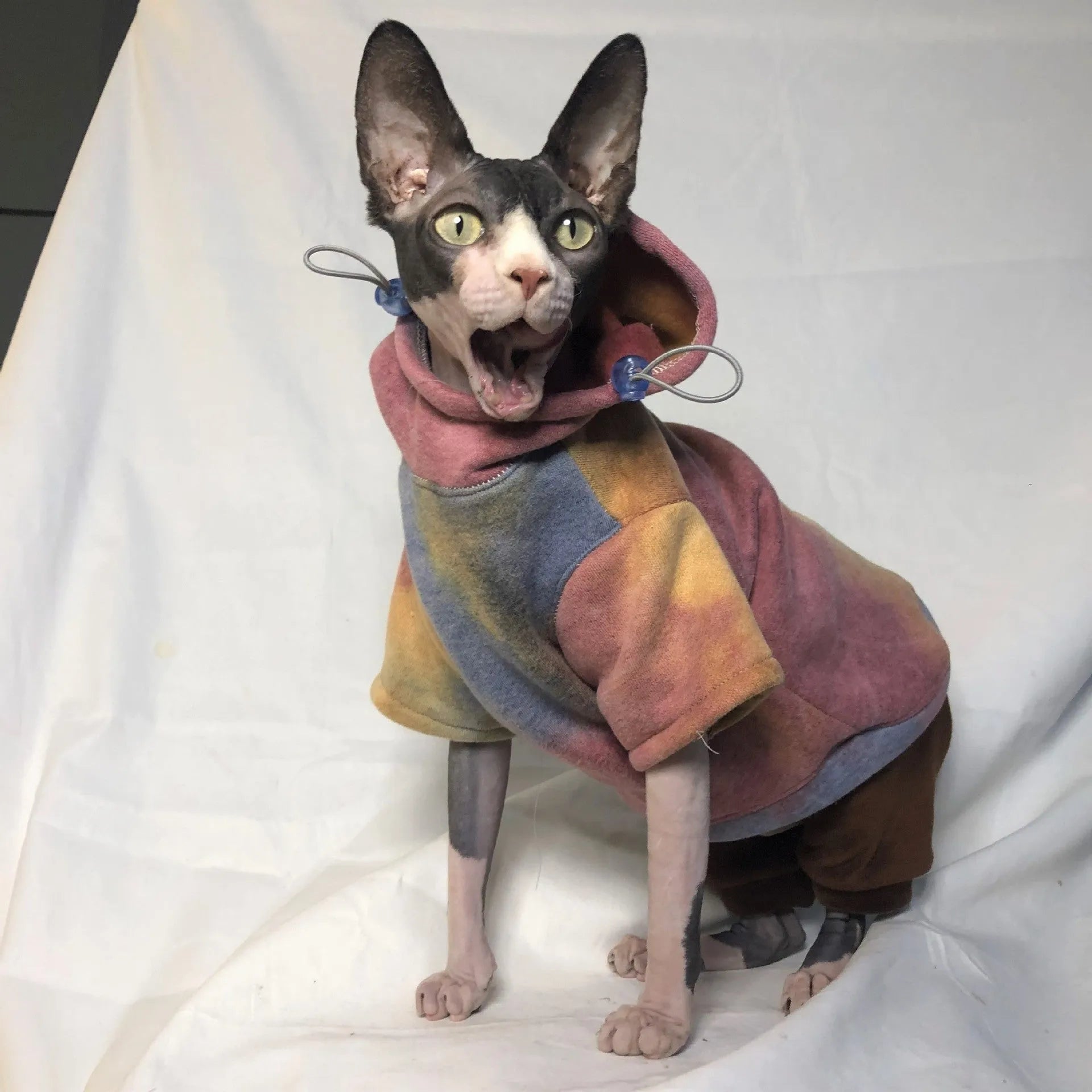 Thick tie-dye hooded cotton pet sweater in red yellow blue for cats and dogs, autumn winter wear