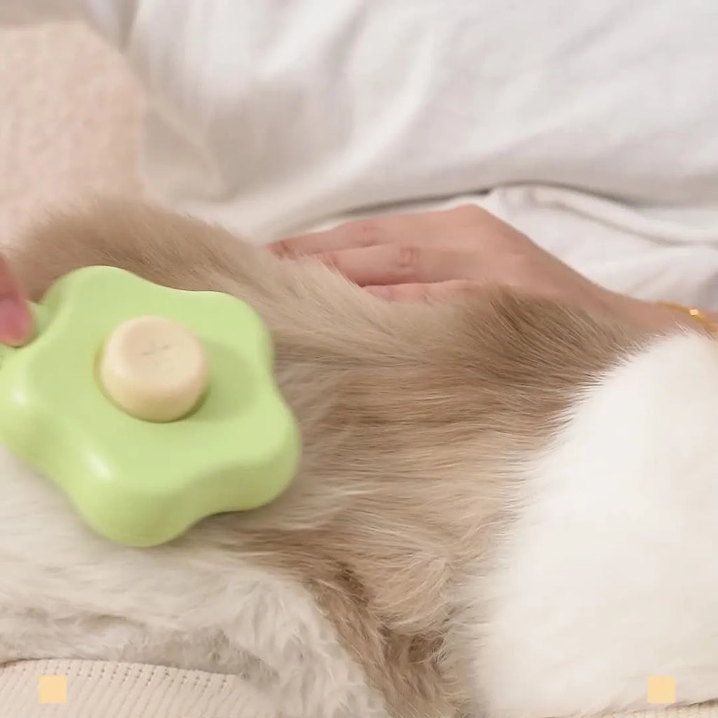 Green self-cleaning cat comb with stainless steel needles and retraction button