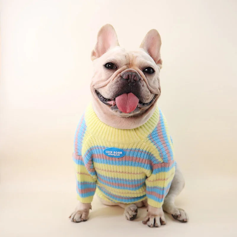 Blue and yellow striped wool dog sweater shown on a small white dog, sizes XS to XXL.