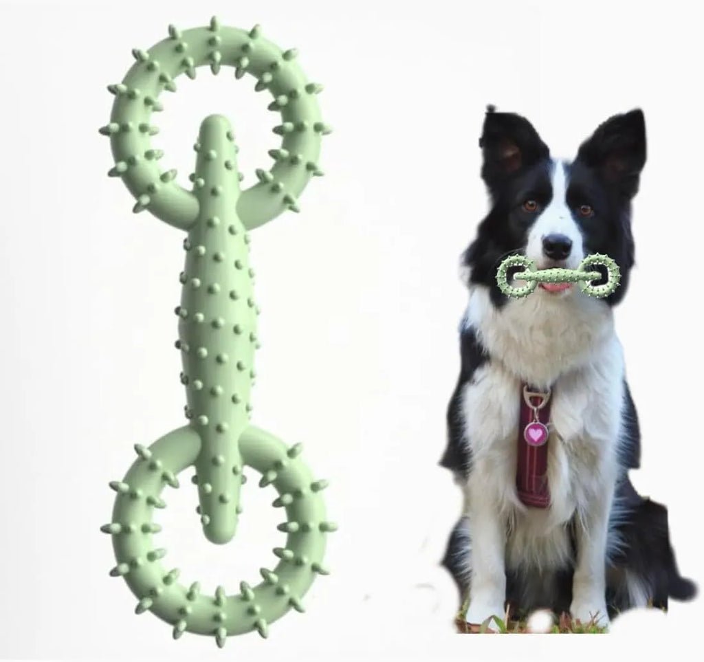 Blue TPR dog chew toy ring for puppies on a white background.