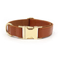 Leather Velvet-style dog collar shown in multiple colour options including caramel, dark blue, and dark brown.